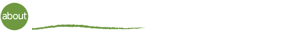 世田谷フラ・フェスティバルについて